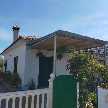 לה פואבלה דה לוס אינפאנטס Alojamiento Rural La Perdiz מראה חיצוני תמונה